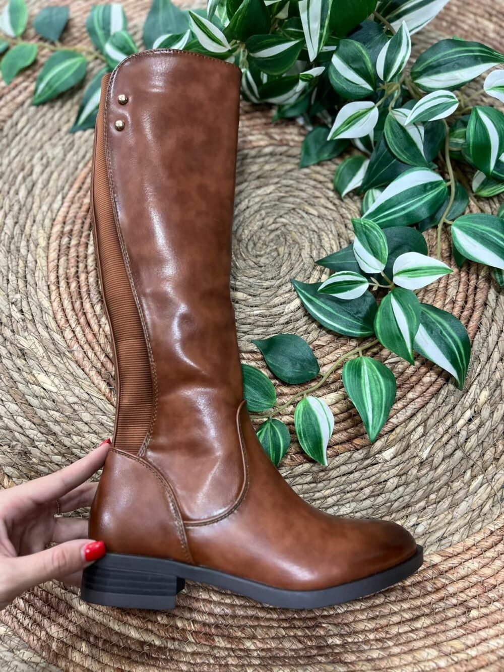 Bota camel de caña alta con 3cm de tacón- BADAJOZ